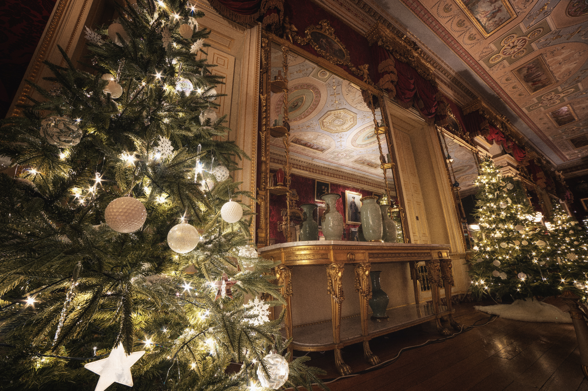 Long Live the Christmas Tree exhibition opens at Harewood House
